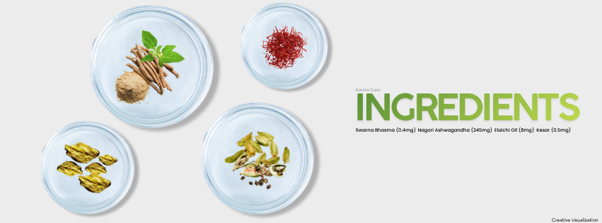 Kavira care Shudh Shilajit