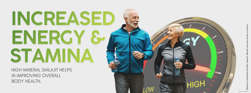 Kavira care Shudh Shilajit