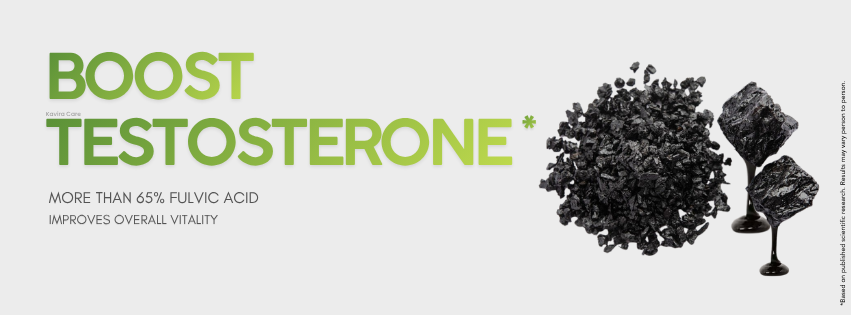 Kavira care Shudh Shilajit