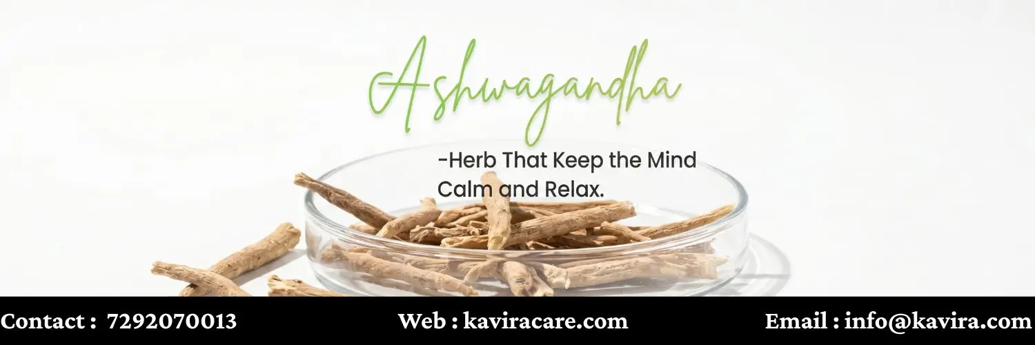 Ashwagandha -Herb That Keep the Mind Calm and Relax