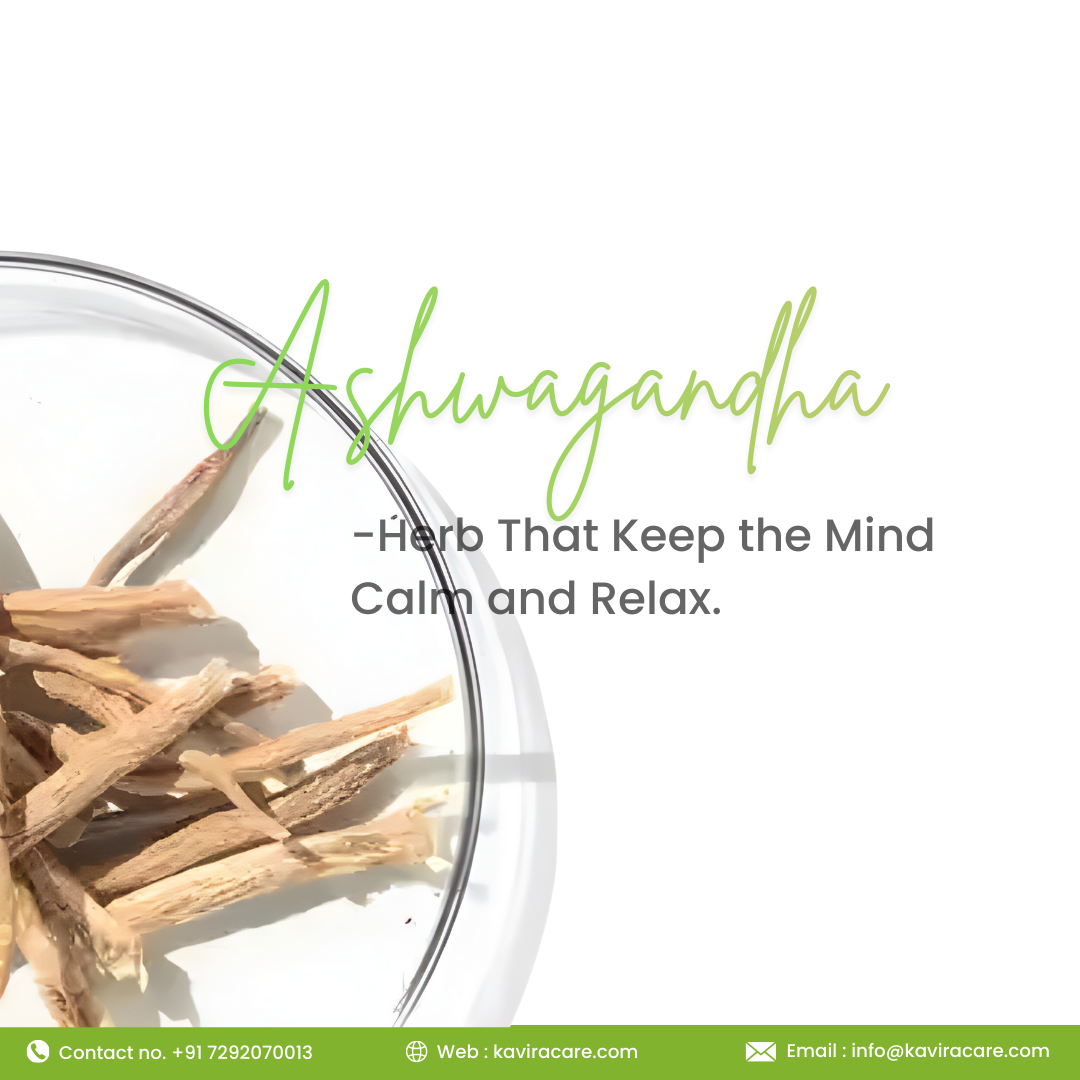 Ashwagandha -Herb That Keep the Mind Calm and Relax (1)