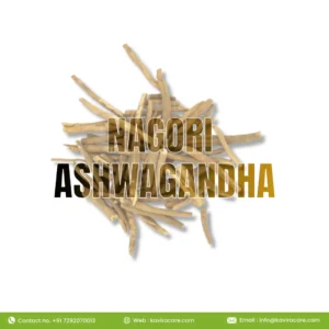 Nagori Ashwagandha