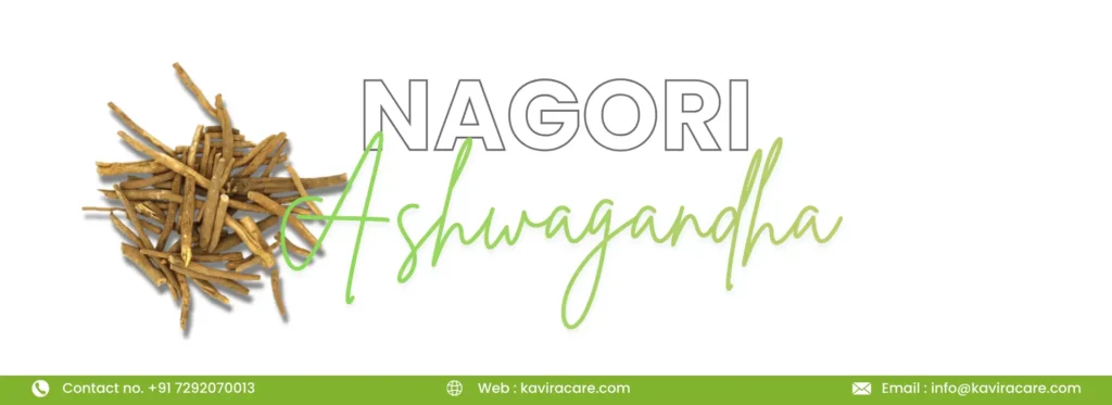 Nagori Ashwagandha