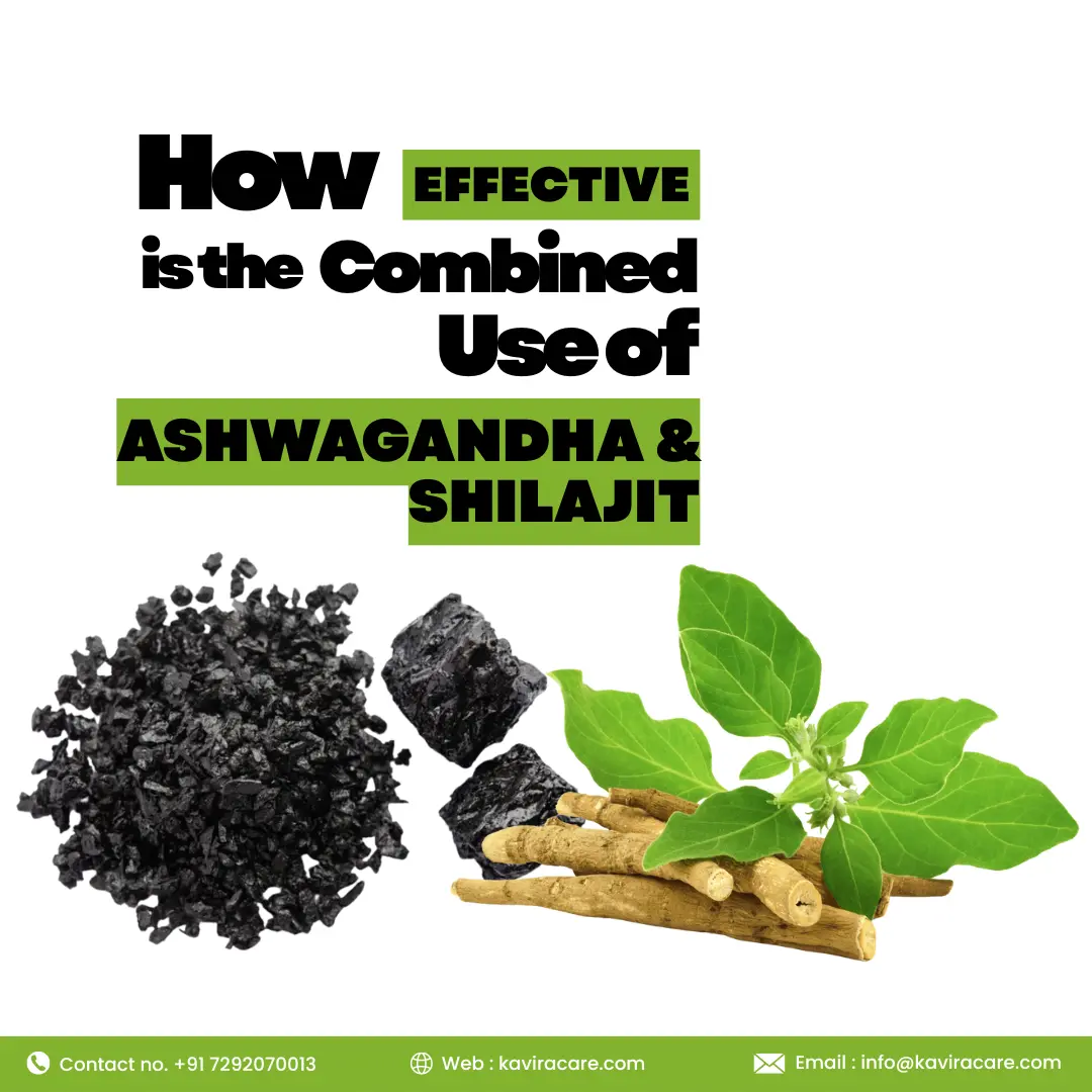 How Effective is the combined use of Ashwagandha & Shilajit