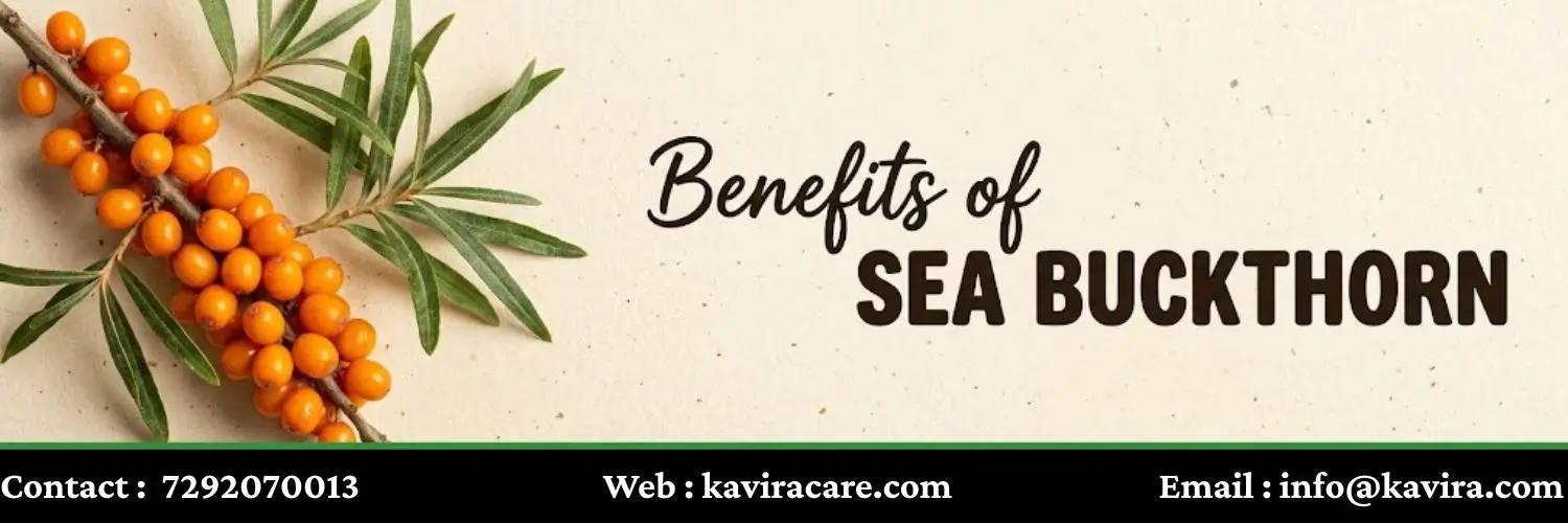 Sea Buckthorn Benefits