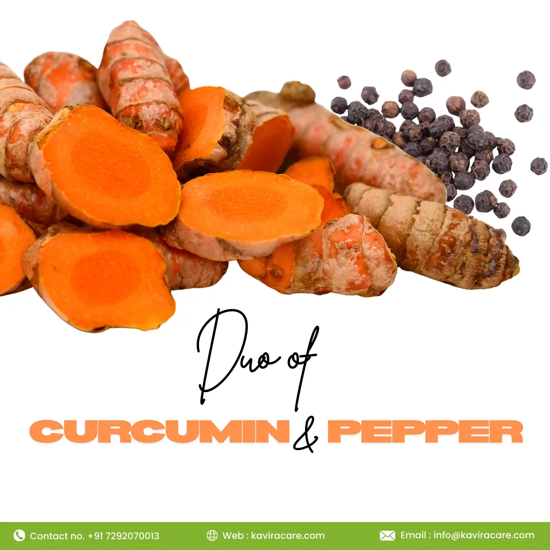 Duo of curcumin & pepper