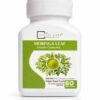Moringa capsules for immunity and energy support