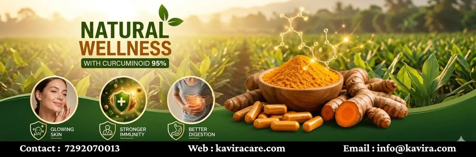 Turmeric, haldi, Curcuminoid,