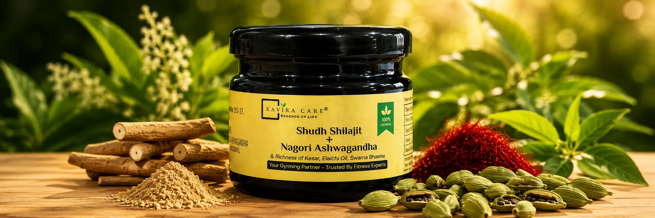 shilajit best brand in india