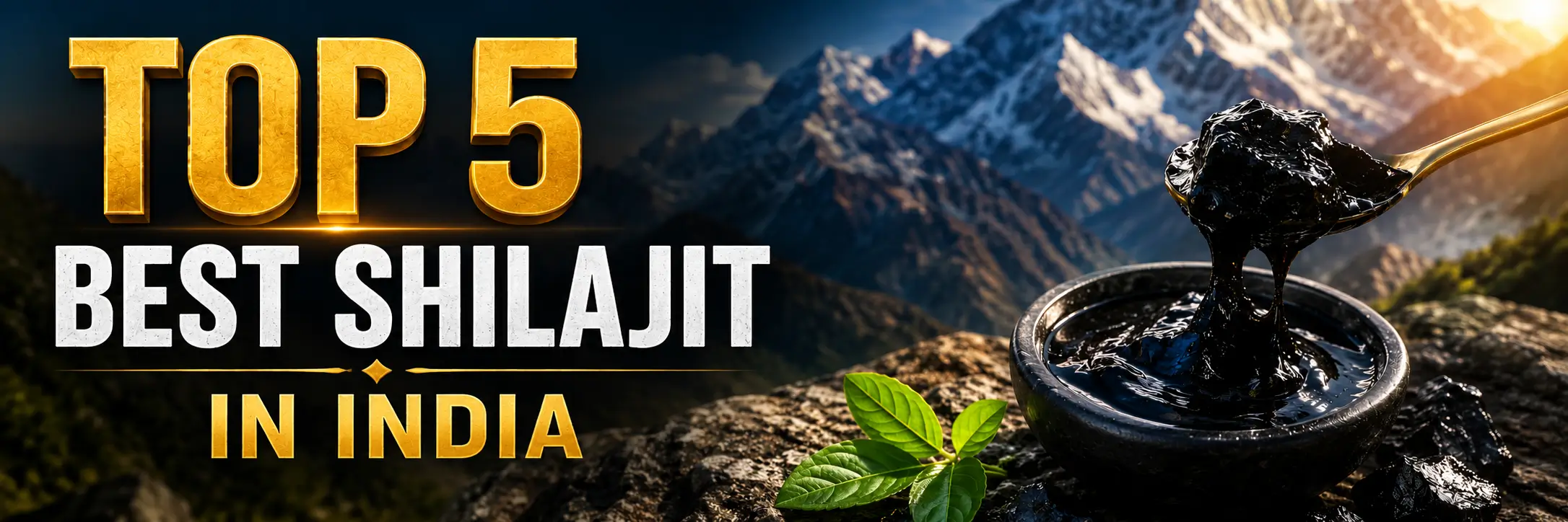 top 5 best shilajit in India image