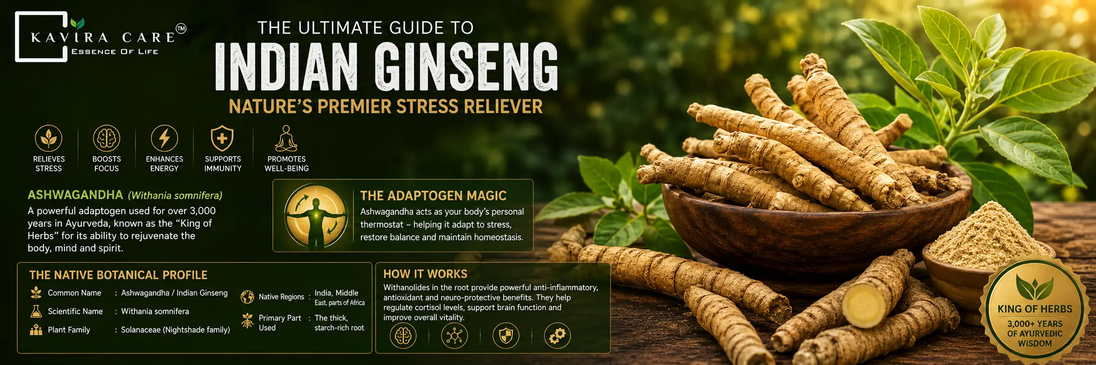 Indian ginseng image