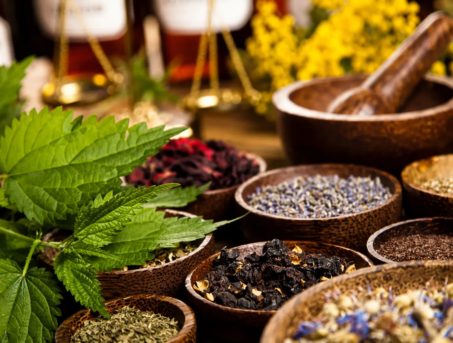 herbs