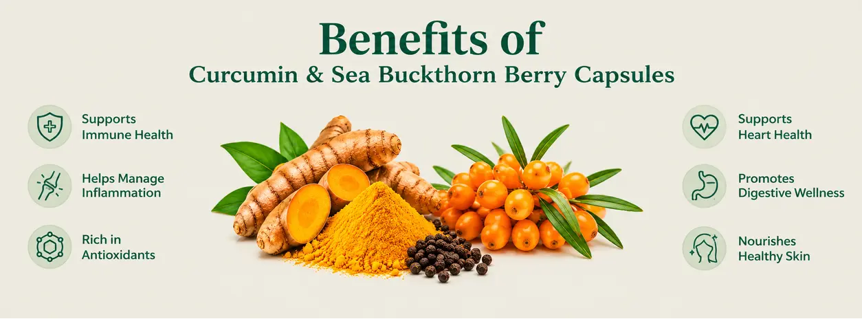 benefits of Curcumin & Sea Buckthorn Berry Capsules