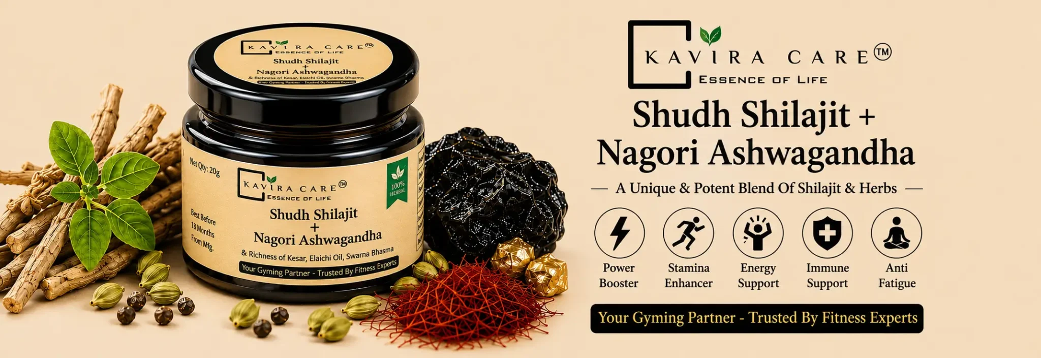 shilajit for gymer