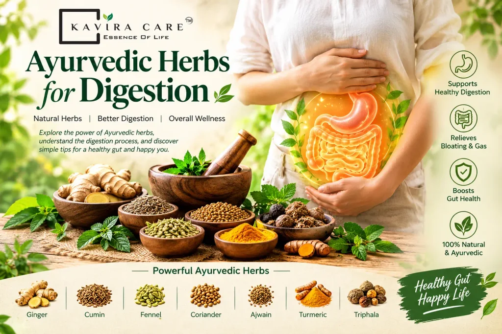 digestion process picture 